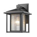 Z-Lite Aspen 1 Light Outdoor, Black And Clear Seedy 554S-BK